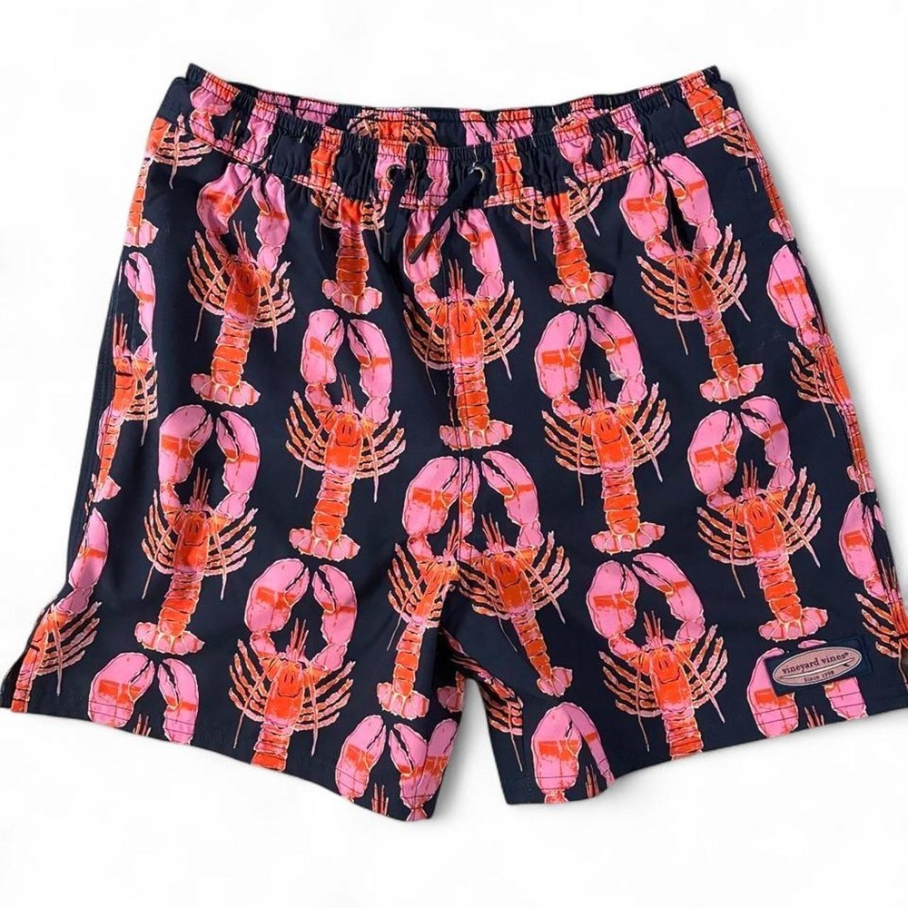 NWOT. Youth Vineyard vines printed chappy swim trunks. Youth large